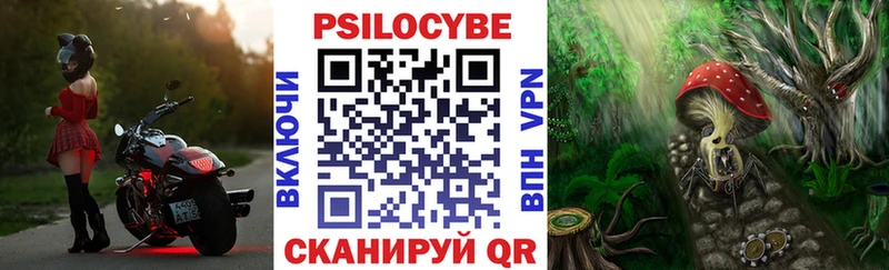 где продают   Нерюнгри  Галлюциногенные грибы GOLDEN TEACHER 